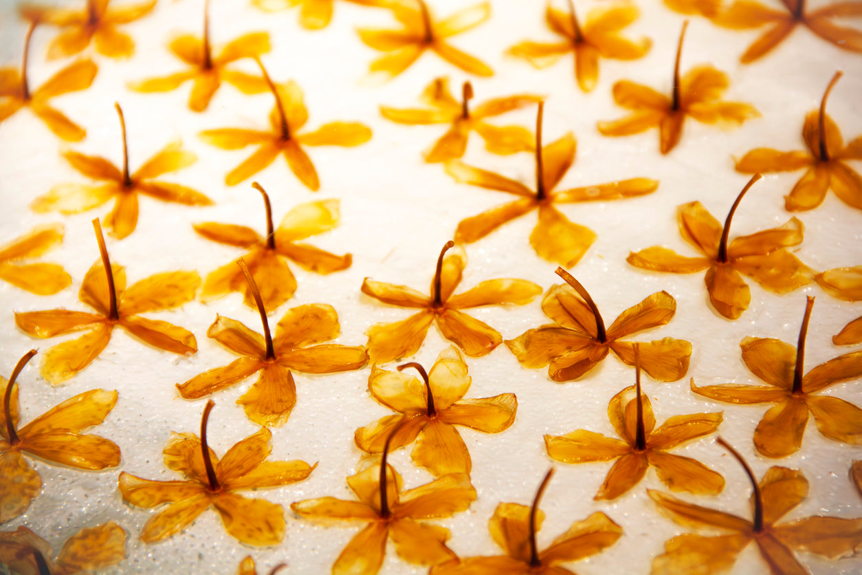 Top 3 Parfums de Niche 2025