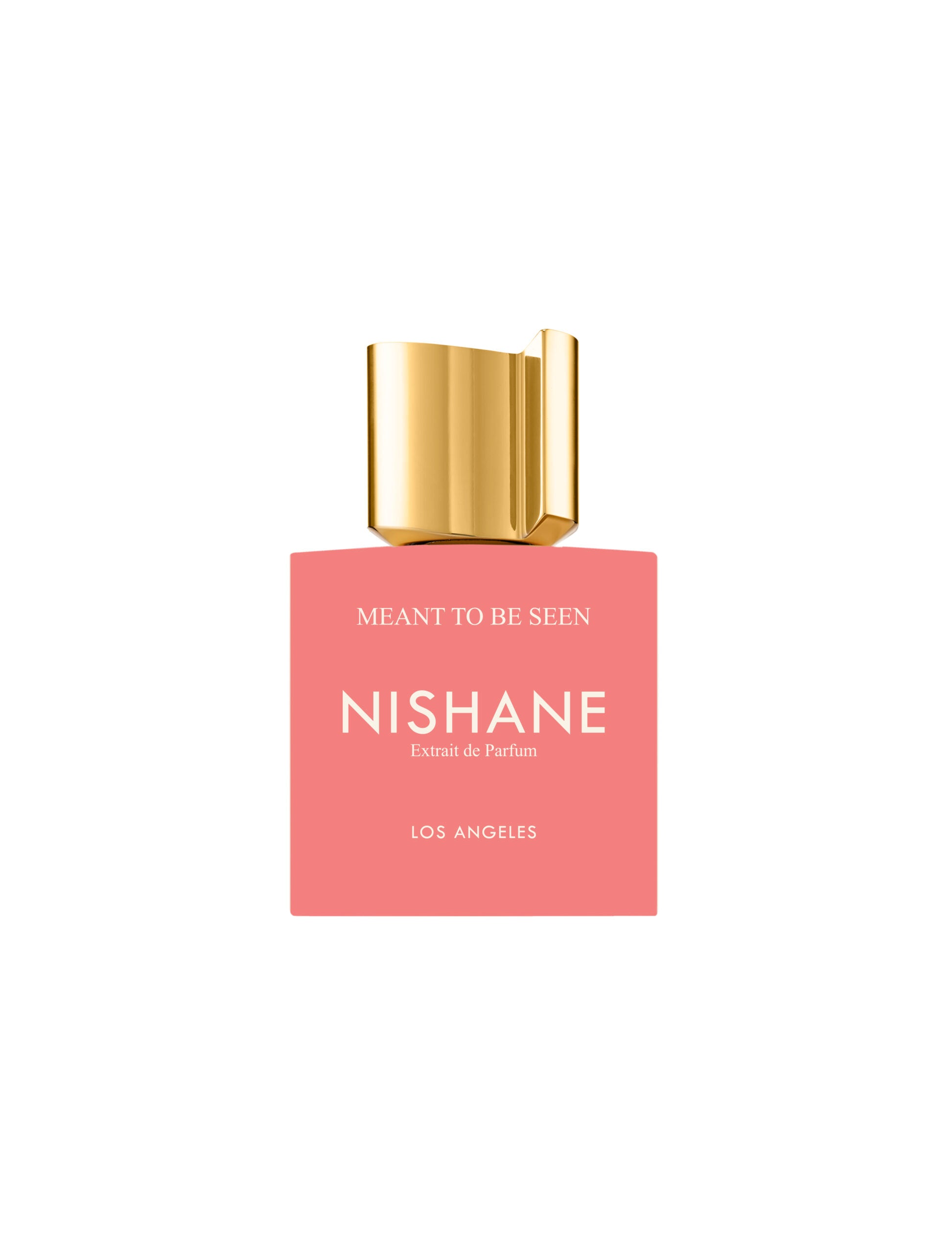 MEANT TO BE SEEN | Nishane